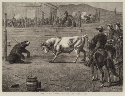カリフォルニアのスポーツ、闘牛と熊の戦い 作： Samuel Edmund Waller